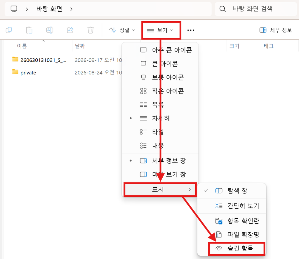 Windows 파일 탐색기에서 숨긴 항목 표시